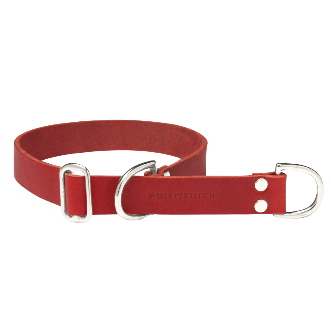 Butter Leather Retriever Dog Collar - Chili Red