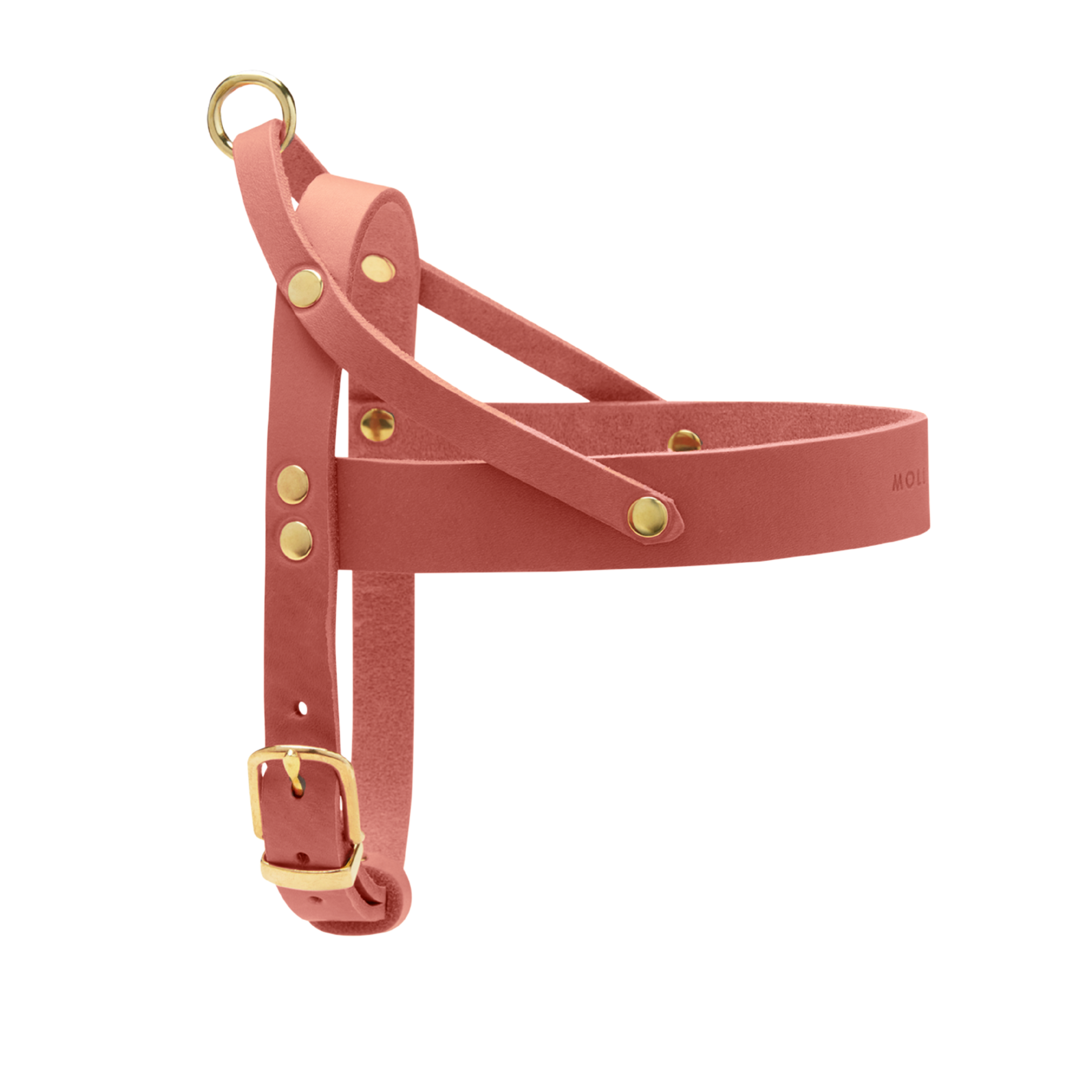 Butter Leather Dog Harness - Coral