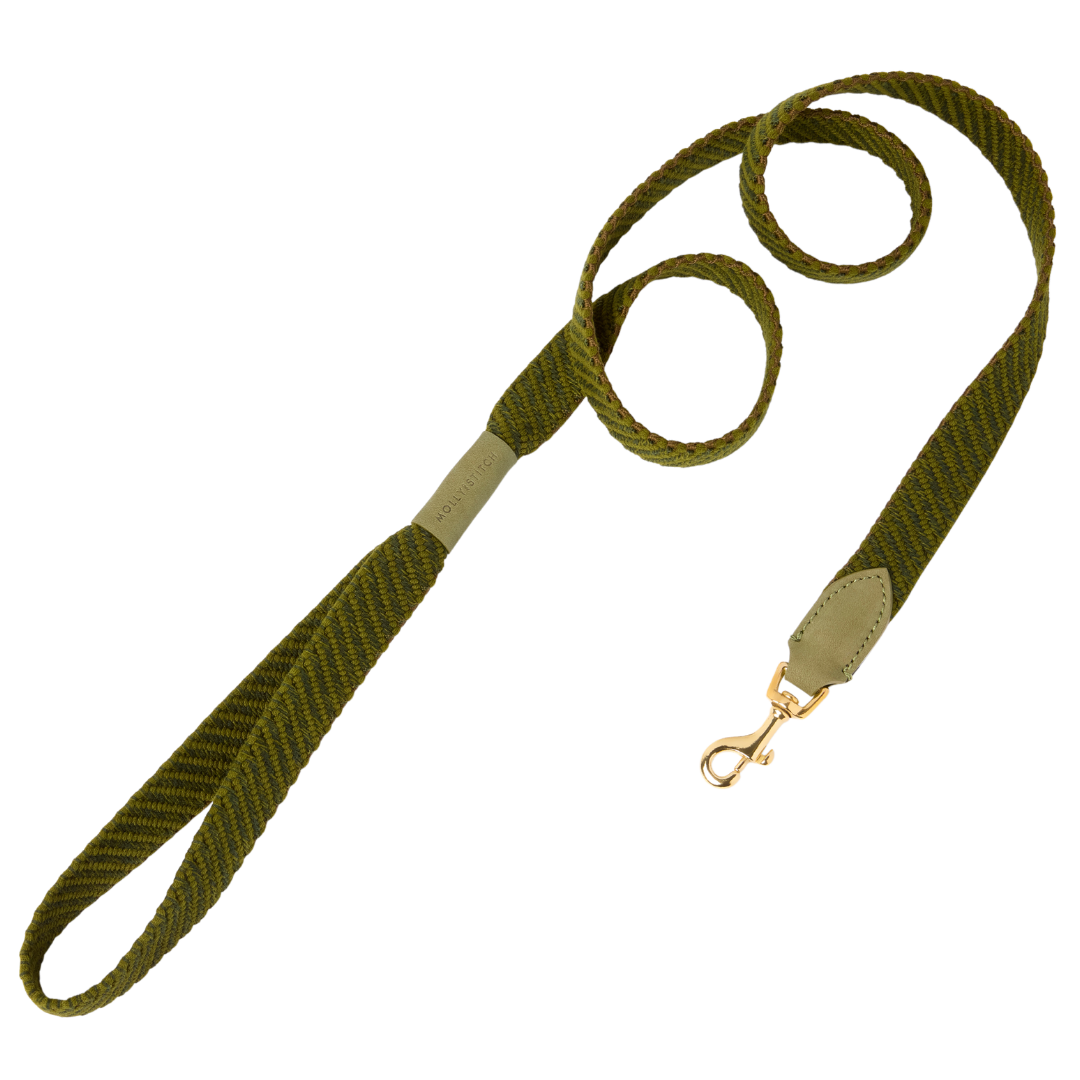 Serrana City Dog Leash - Moss