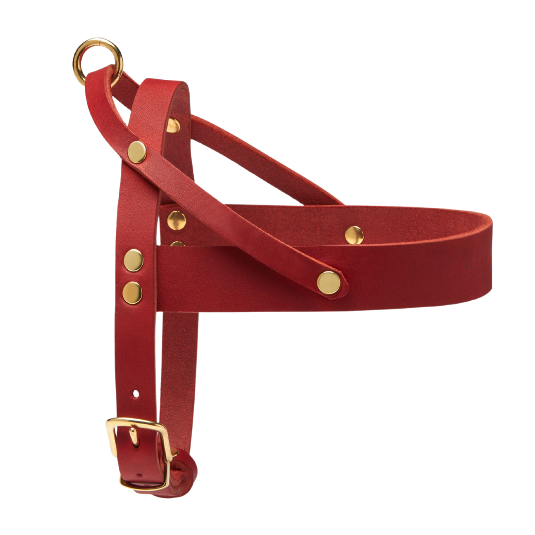 Soft leather dog collar with solid brass and steel options, designed for both comfort and style