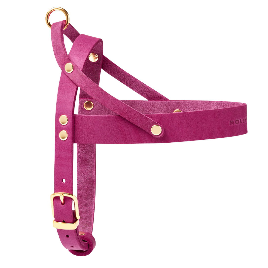 Butter Leather Dog Harness - Flamingo