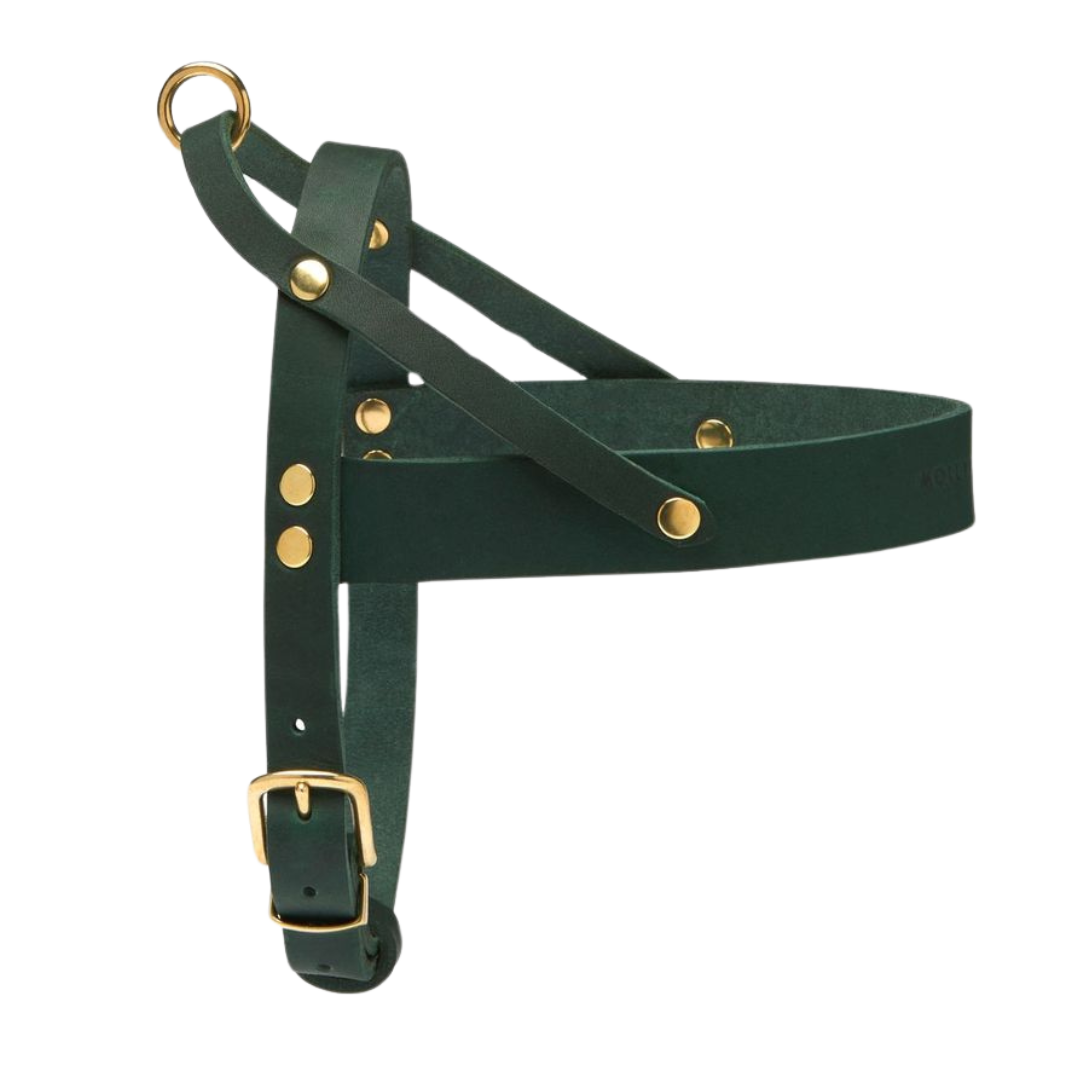 Butter Leather Dog Harness - Forest Green