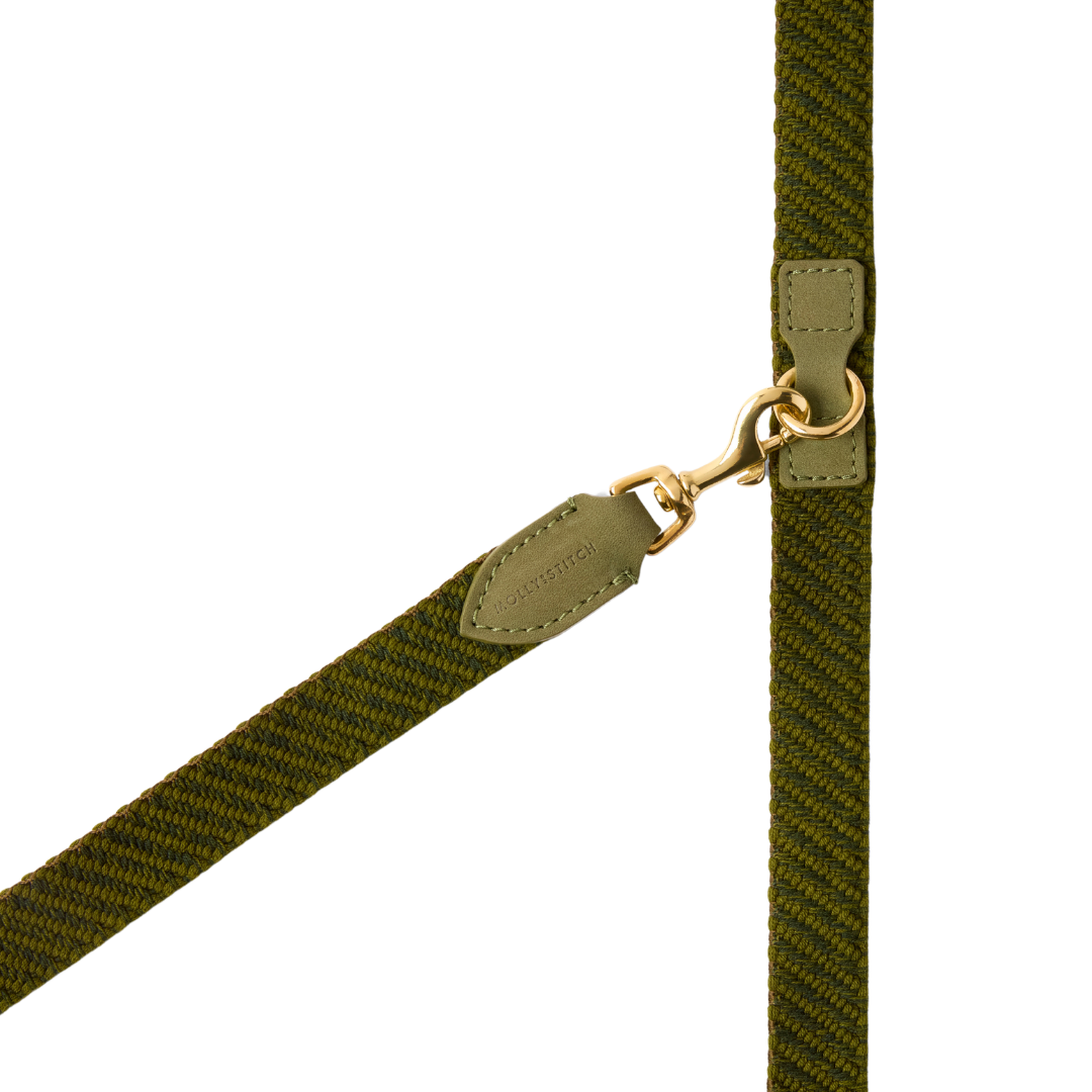 Serrana 3x Adjustable Dog Leash - Moss