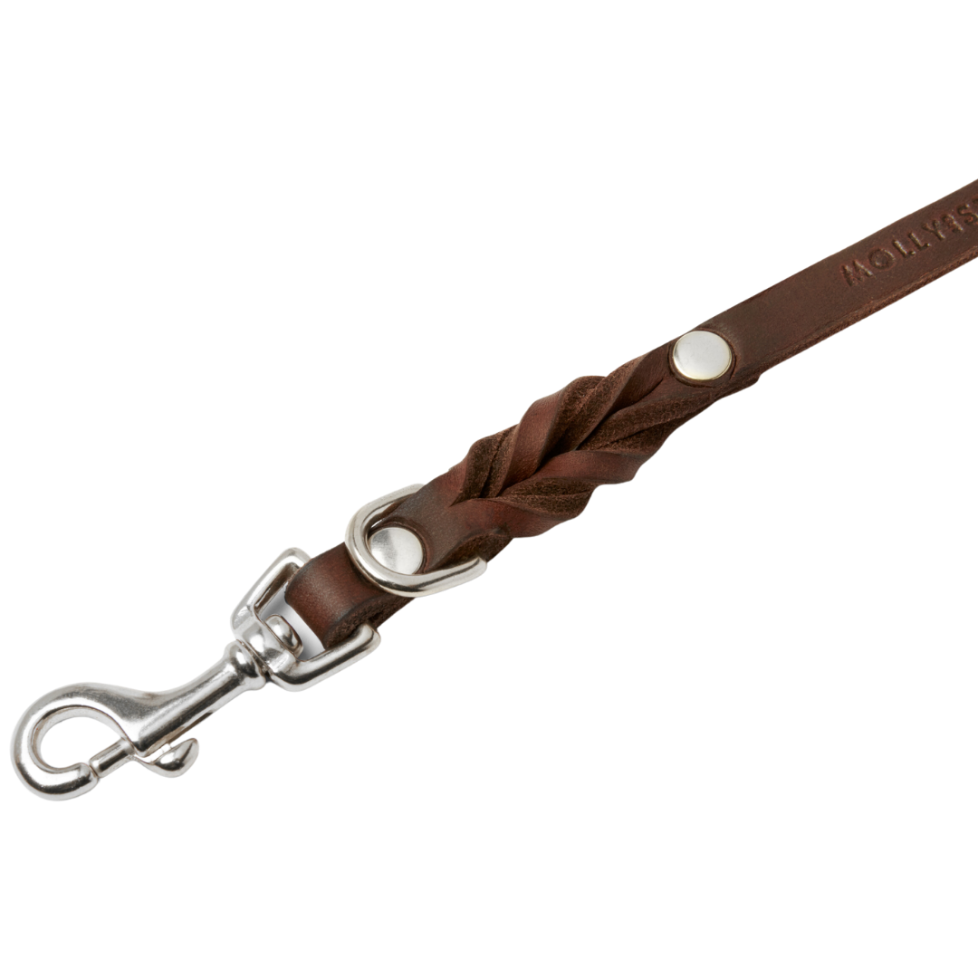 Luxurious Classic Brown leather leash with solid brass/silver clasp hardware and elegant braided detailing