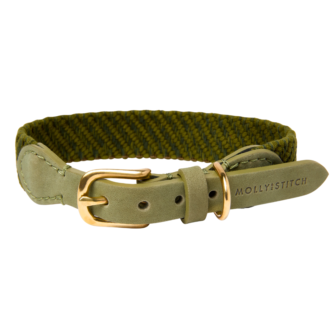 Serrana Dog Collar - Moss