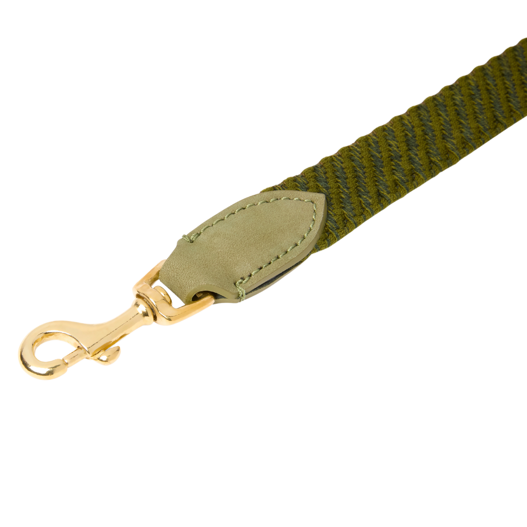 Serrana City Dog Leash - Moss