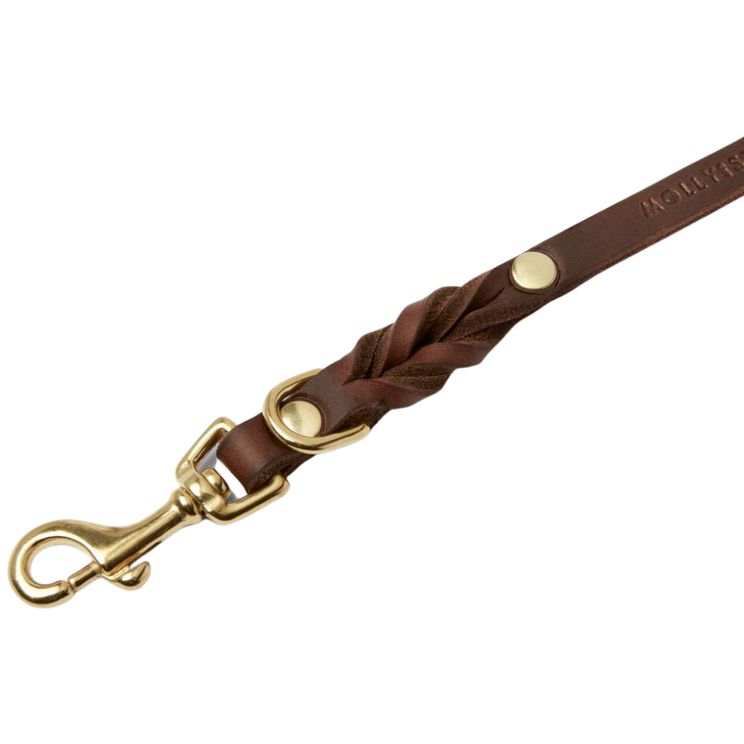Luxurious Classic Brown leather leash with solid brass/silver clasp hardware and elegant braided detailing