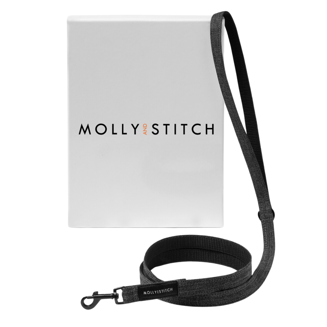 Adjustable leather dog leash with soft braided handle and solid brass clasps, handmade in Austria