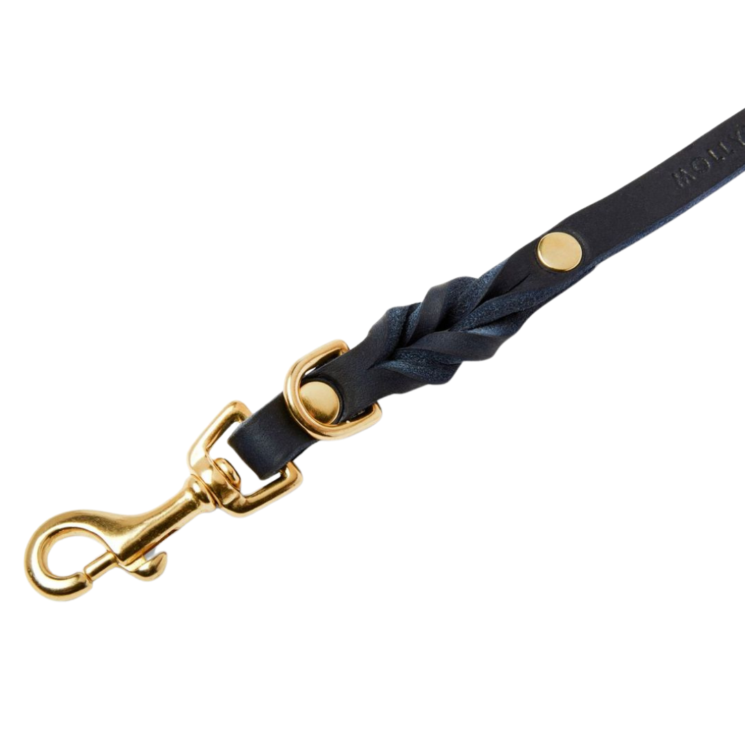 Handmade leather leash with spring-loaded brass clasps and braided detailing for durability
