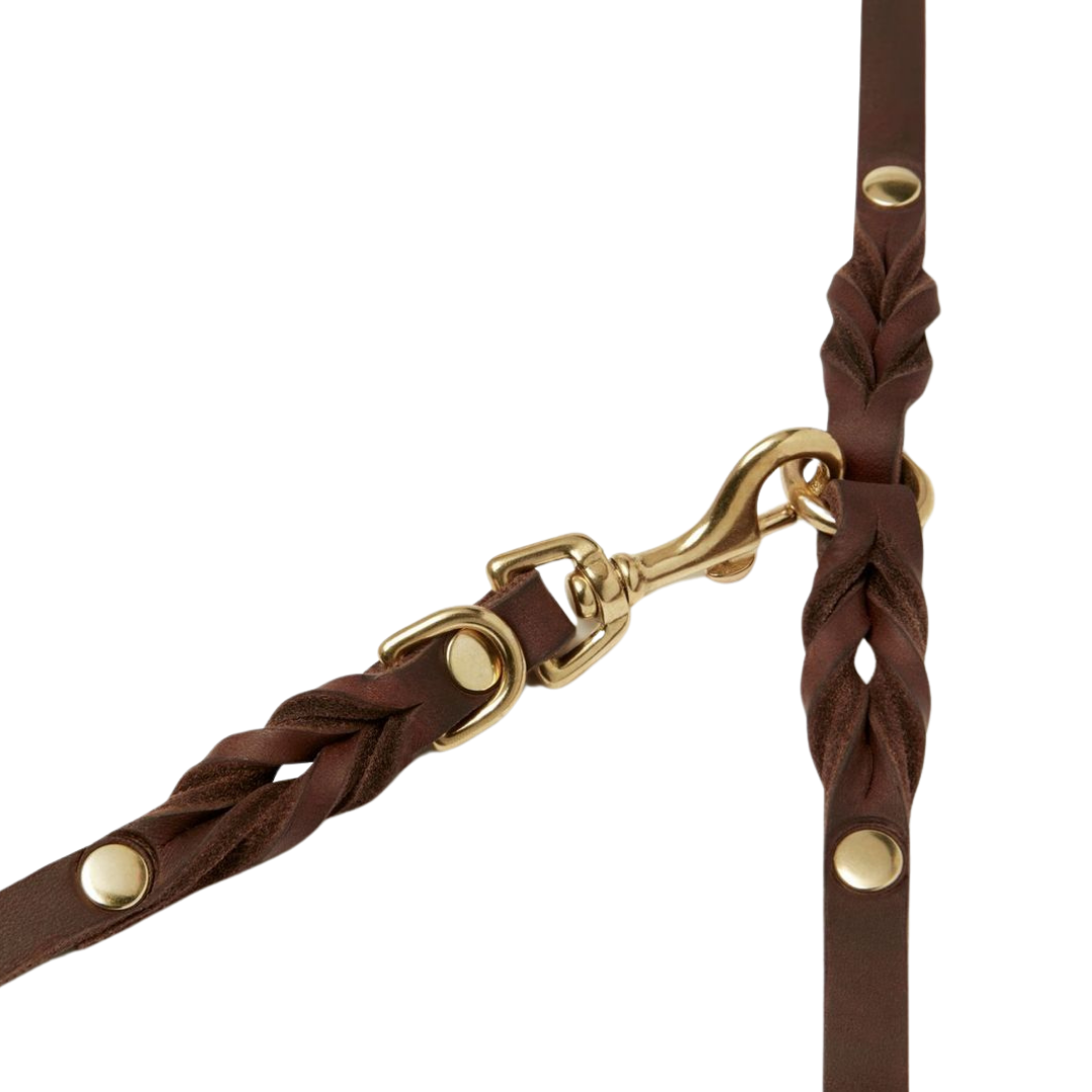 Luxurious Classic Brown leather leash with solid brass/silver clasp hardware and elegant braided detailing