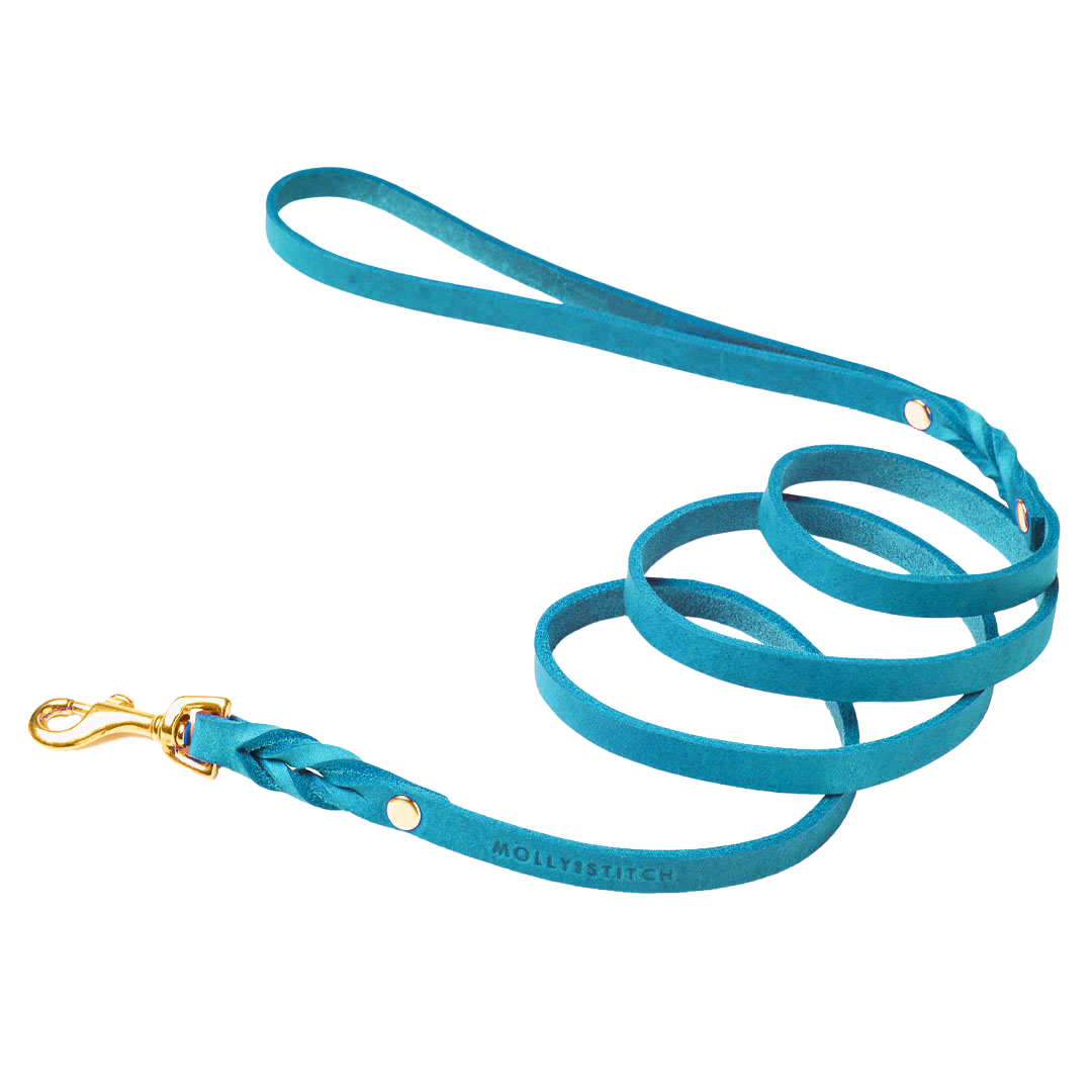Luxurious leather leash with solid brass clasps, adjustable handle, and hand-braided design