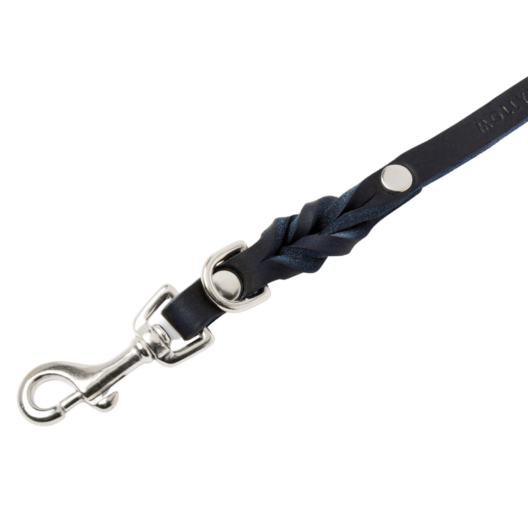 Handmade leather leash with spring-loaded silver clasps and braided detailing for durability