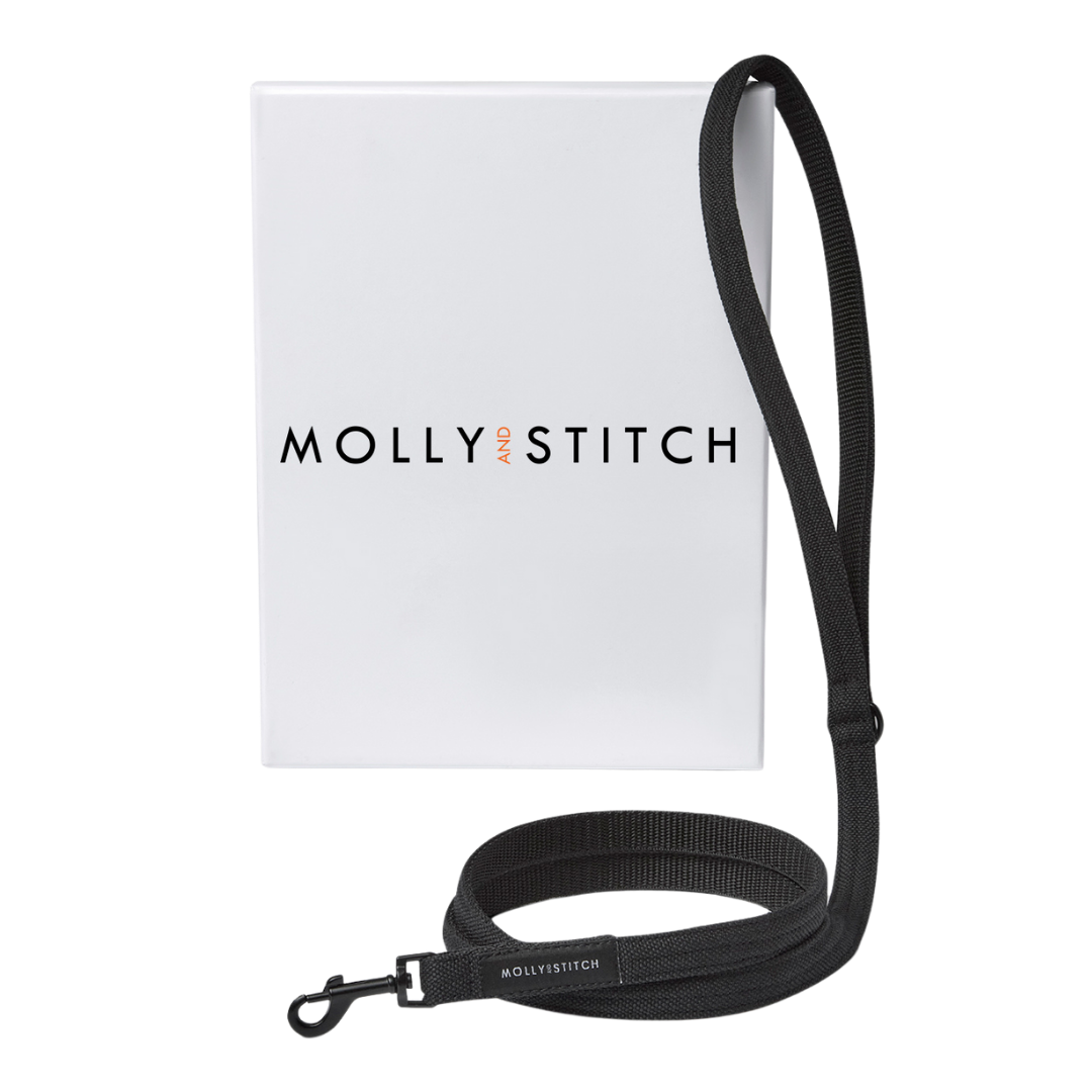 Adjustable leather dog leash with soft braided handle and solid brass clasps, handmade in Austria