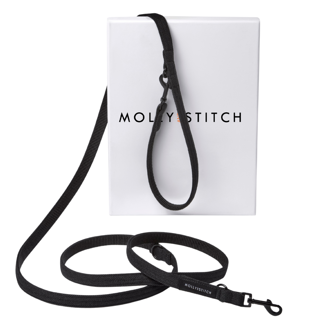 Adjustable leather dog leash with soft braided handle and solid brass clasps, handmade in Austria