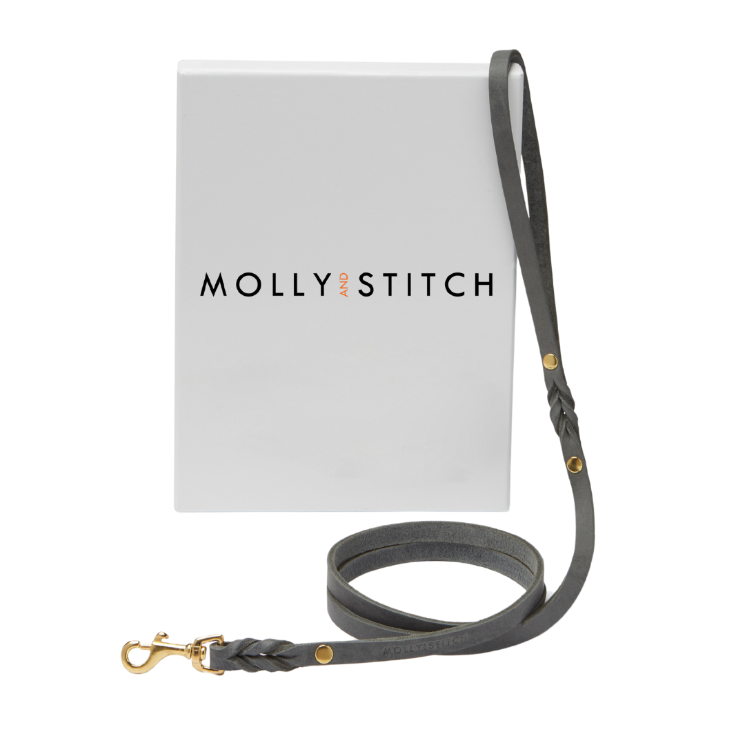 Handmade leather leash with spring-loaded brass clasps and braided detailing for durability