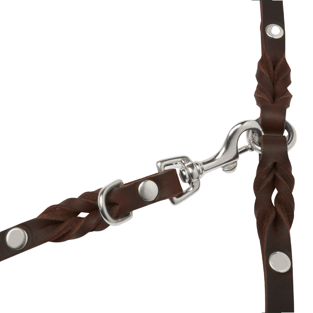 Luxurious Classic Brown leather leash with solid brass/silver clasp hardware and elegant braided detailing