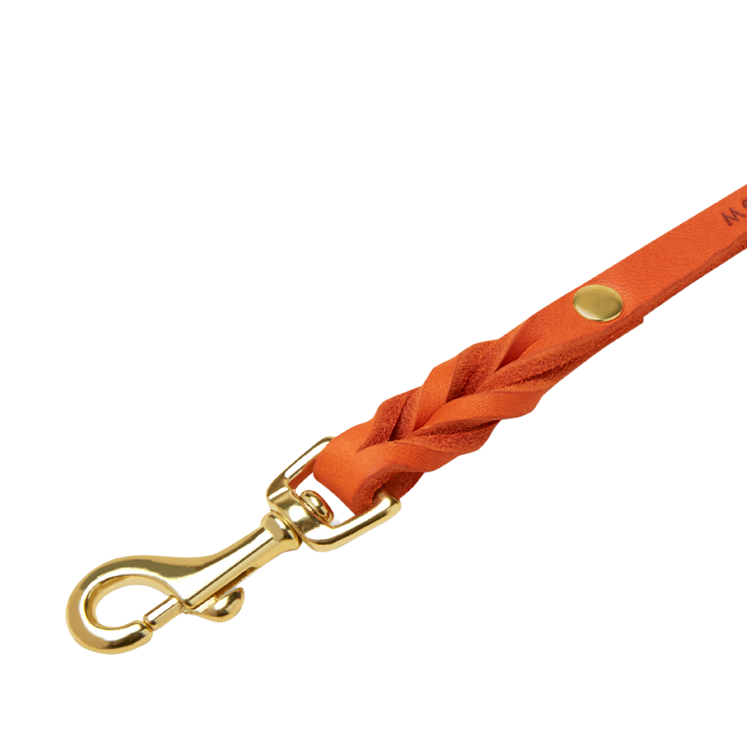 Elegant dog leash made from genuine German leather and featuring brass hardware