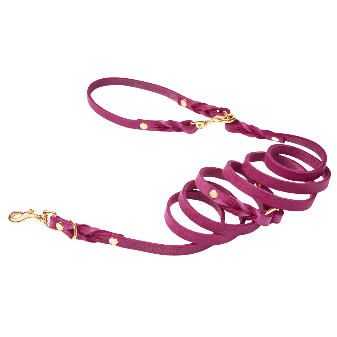 Adjustable leather dog leash with soft braided handle and solid brass clasps, handmade in Austria