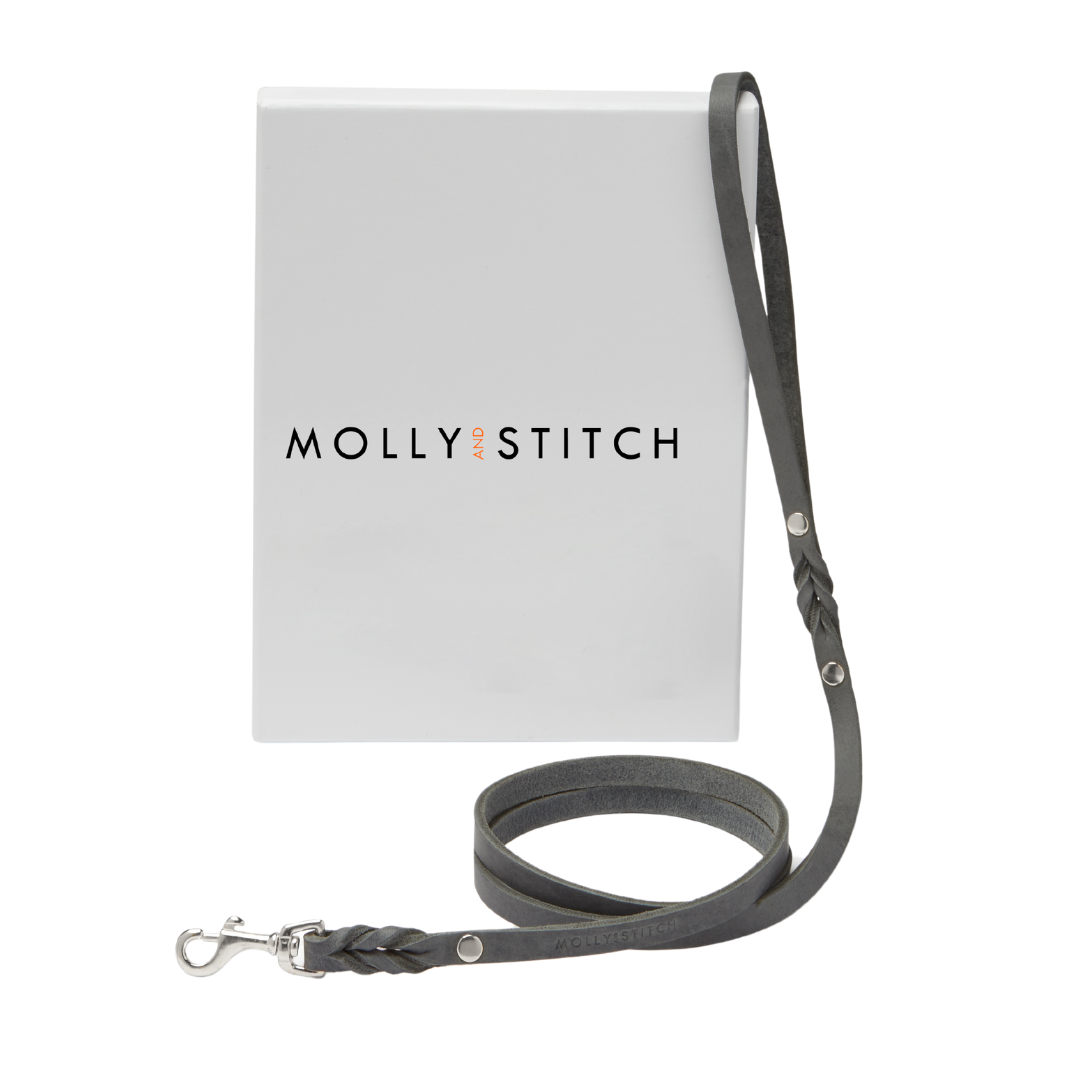 Handmade leather leash with spring-loaded silver clasps and braided detailing for durability