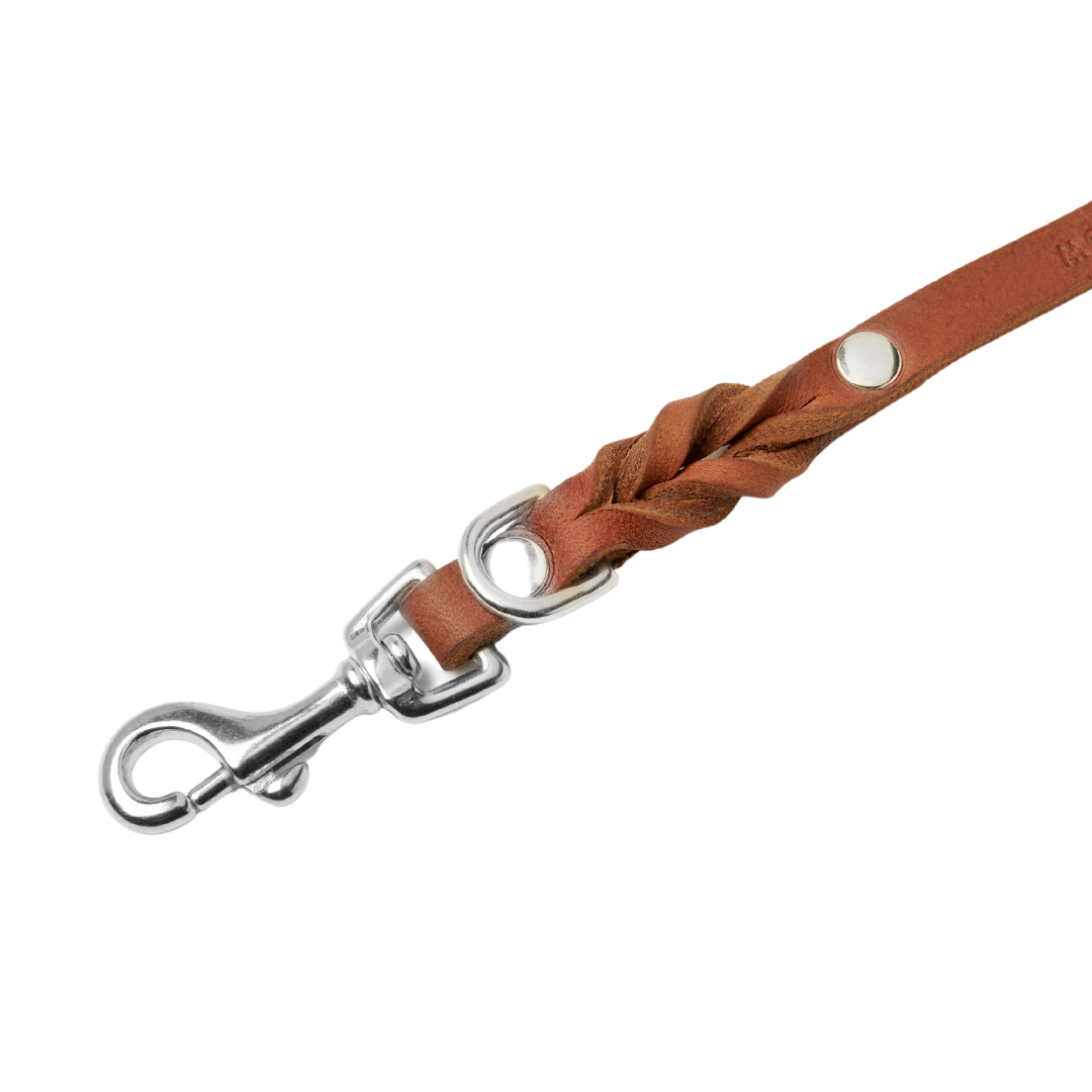 Premium leather leash with a soft, adjustable handle and solid silver hardware, handmade in Austria