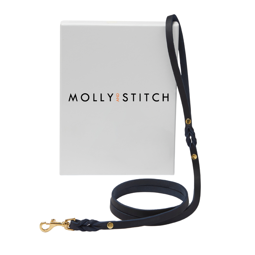 Handcrafted leather dog leash with spring-loaded brass clasps and a soft, adjustable handle
