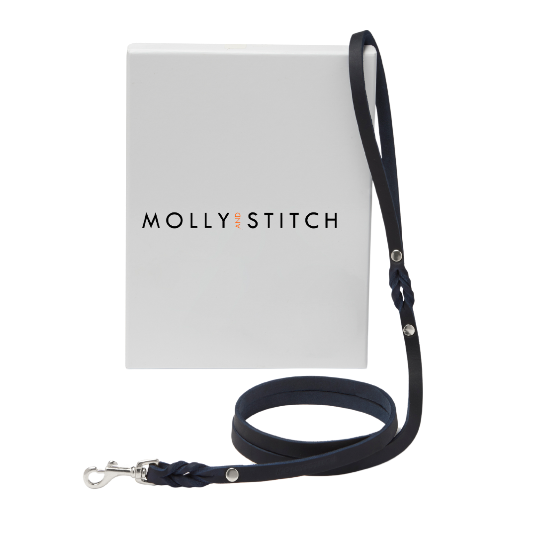 Handmade leather leash with spring-loaded brass clasps and braided detailing for durability