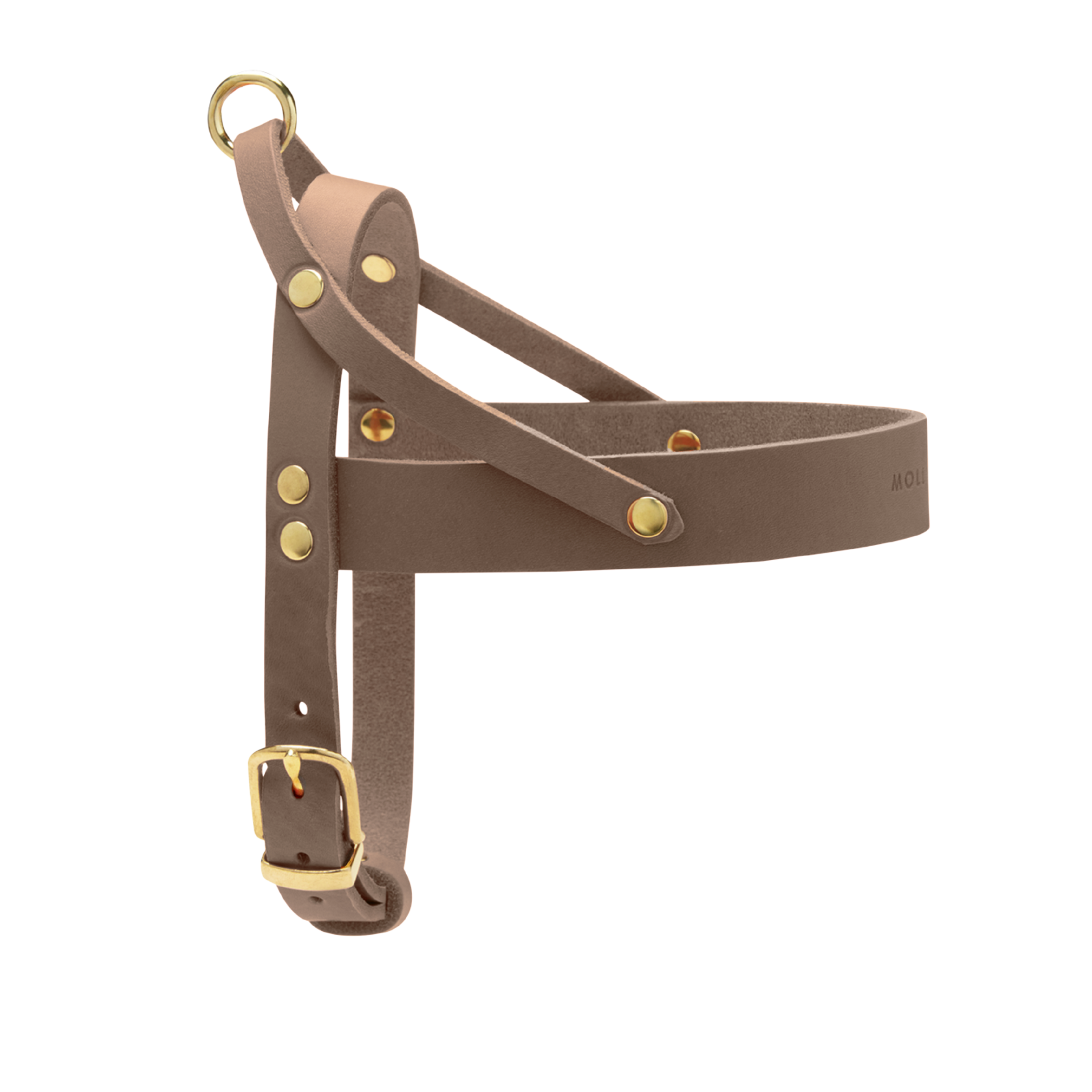 Butter Leather Dog Harness - Taupe