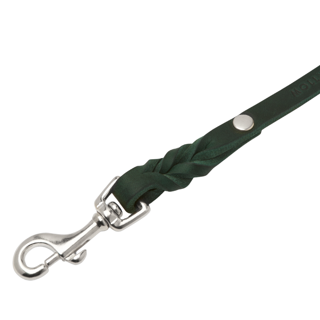 elegant dog leash made from genuine German leather and featuring silver hardware