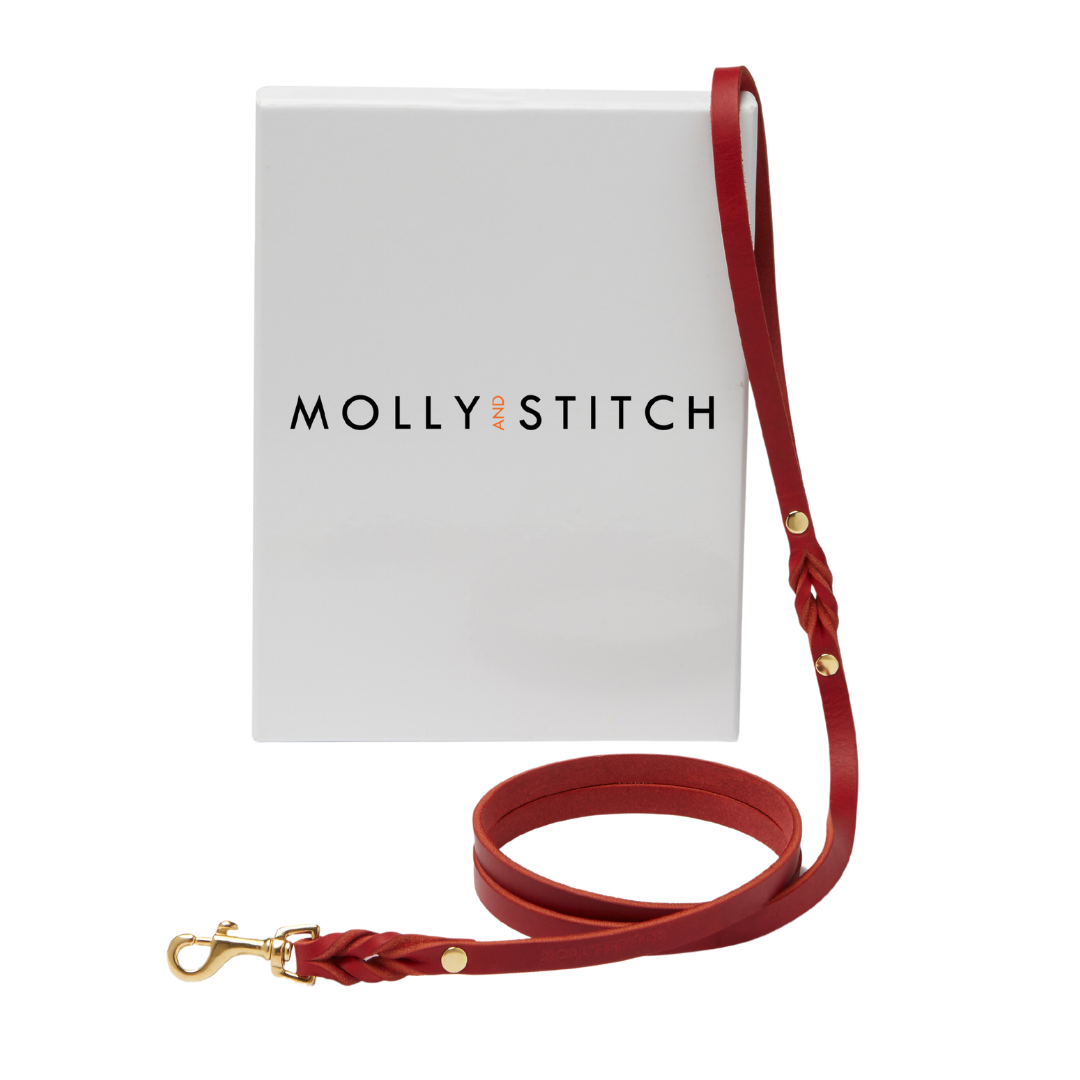 Premium German leather dog leash with a soft handle and solid brass clasps, ideal for walks