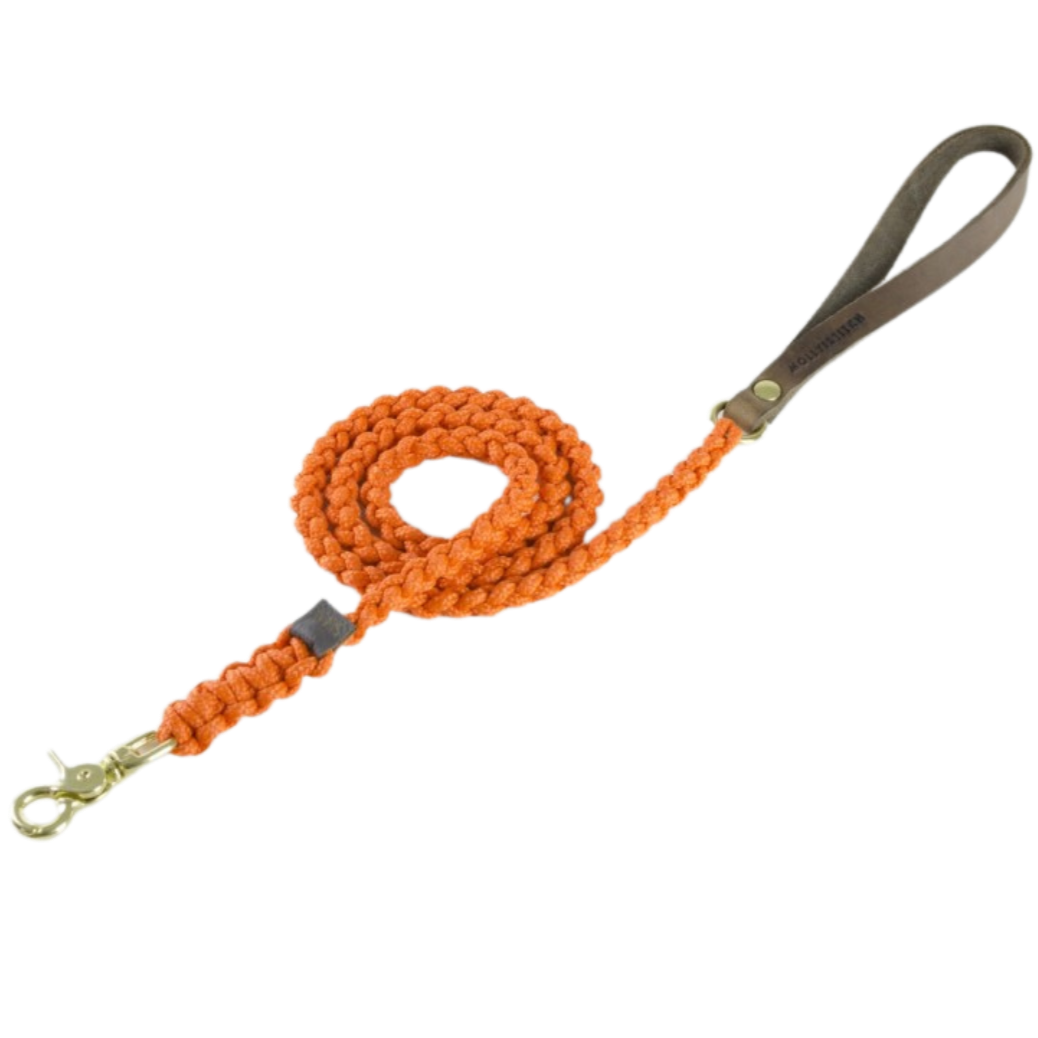 Touch of Leather Dog Leash - Pumpkin