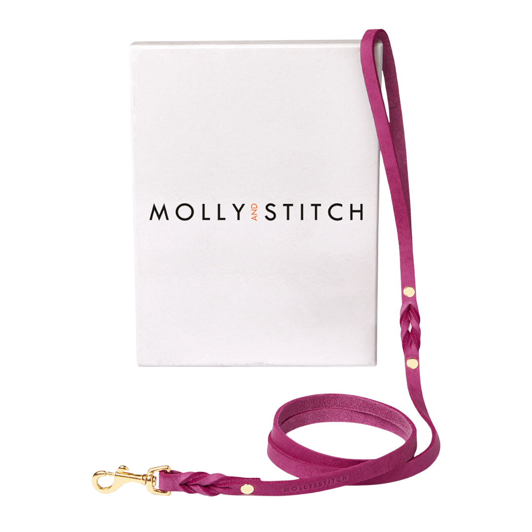Handmade leather leash with spring-loaded brass clasps and braided detailing for durability