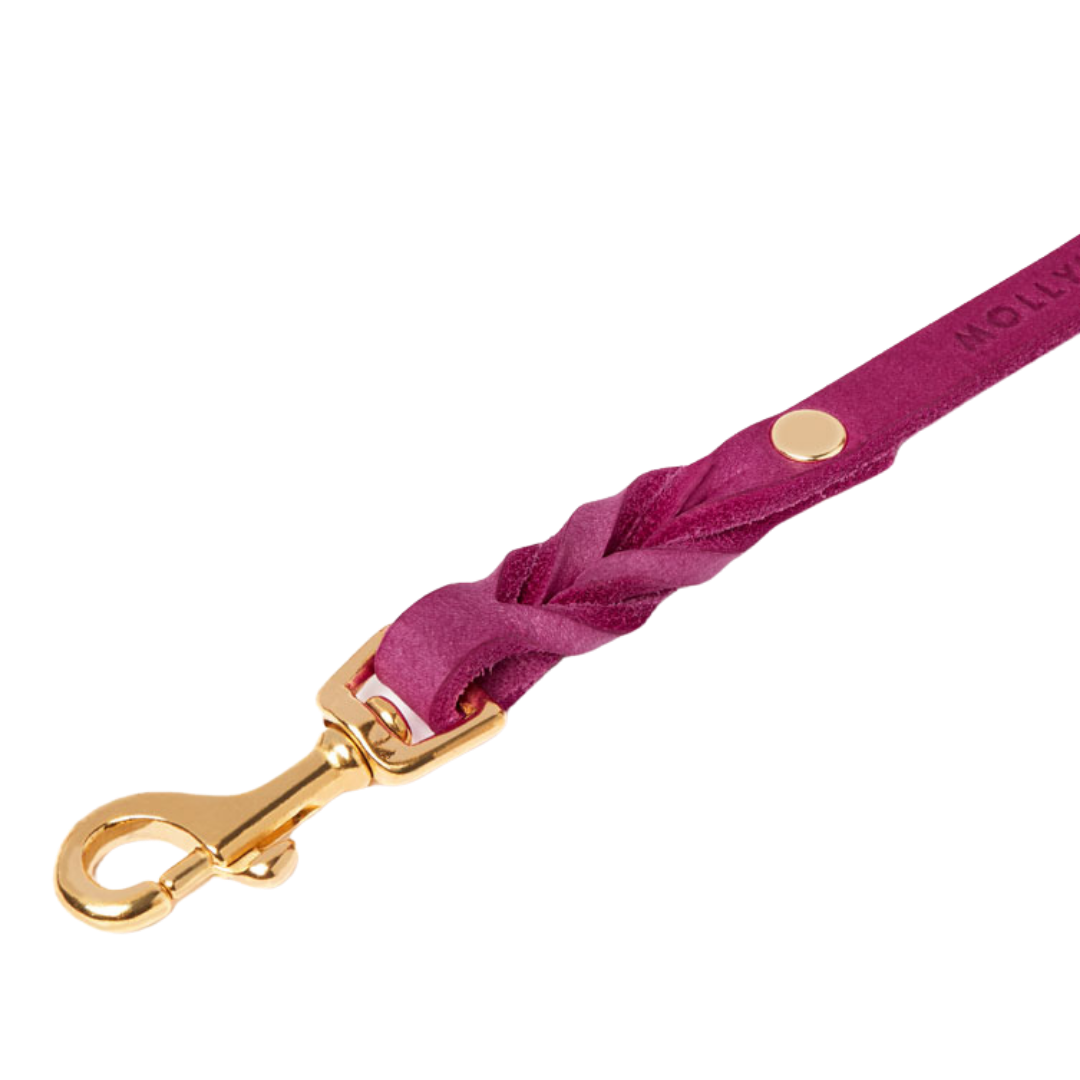 Handmade leather leash with spring-loaded brass clasps and braided detailing for durability