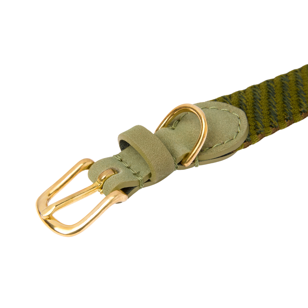 Serrana Dog Collar - Moss