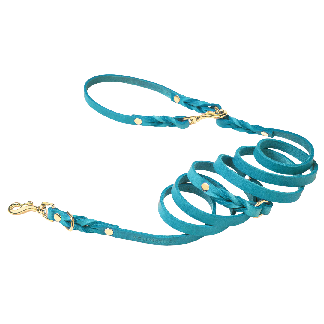 Butter Leather 3x Adjustable Dog Leash - Fiji