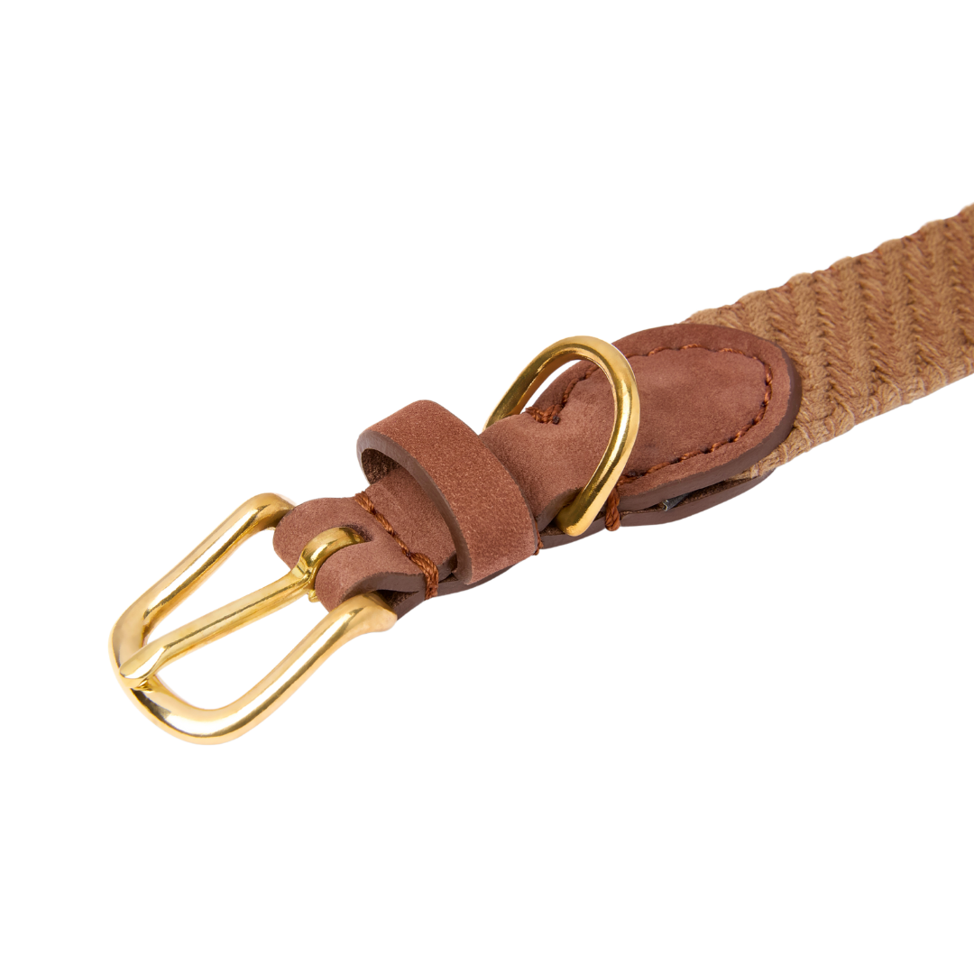 Serrana Dog Collar - Whiskey