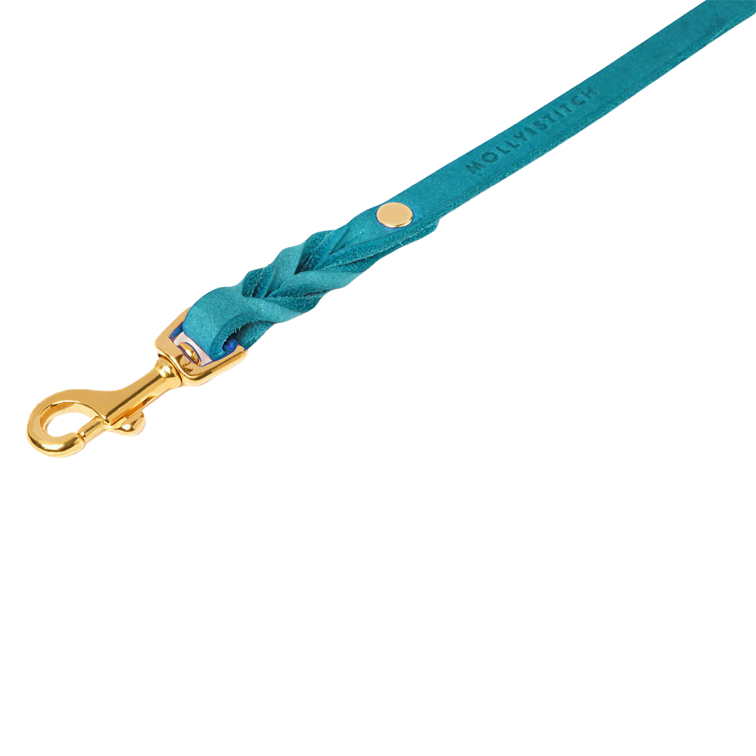 Luxurious leather leash with solid brass clasps, adjustable handle, and hand-braided design