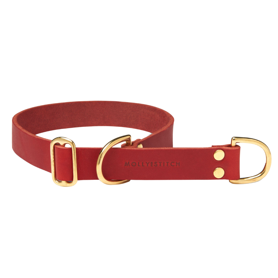 Butter Leather Retriever Dog Collar - Chili Red