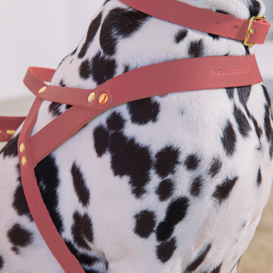 Butter Leather Dog Harness - Coral