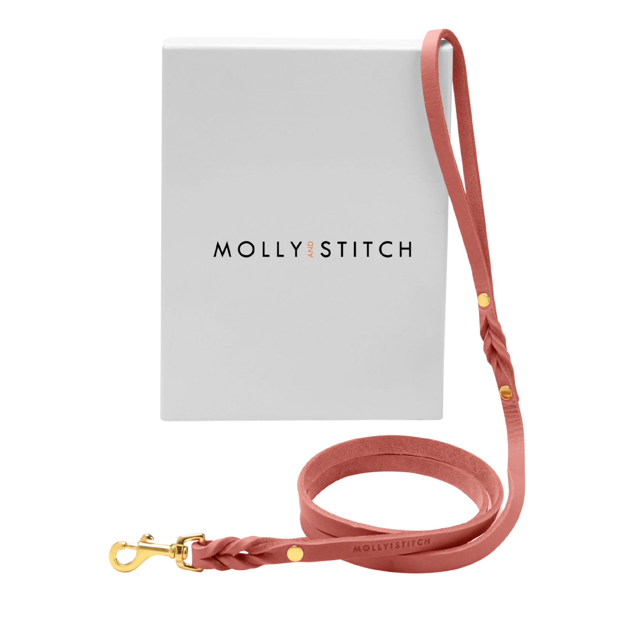 Butter Leather City Dog Leash - Coral