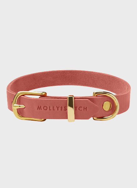 Butter Leather Dog Collar - Coral