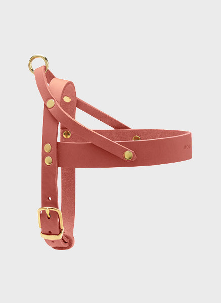 Butter Leather Dog Harness - Coral