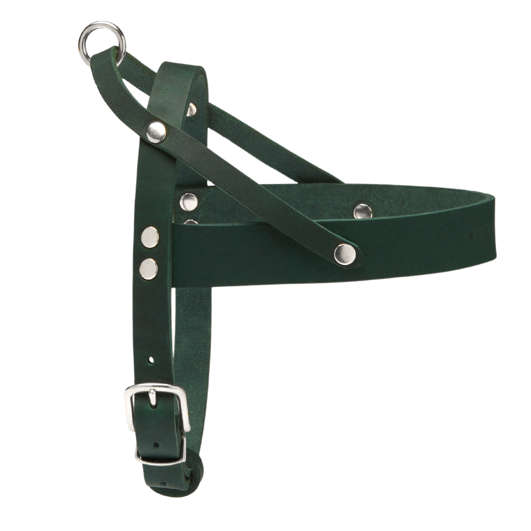 Butter Leather Dog Harness - Forest Green