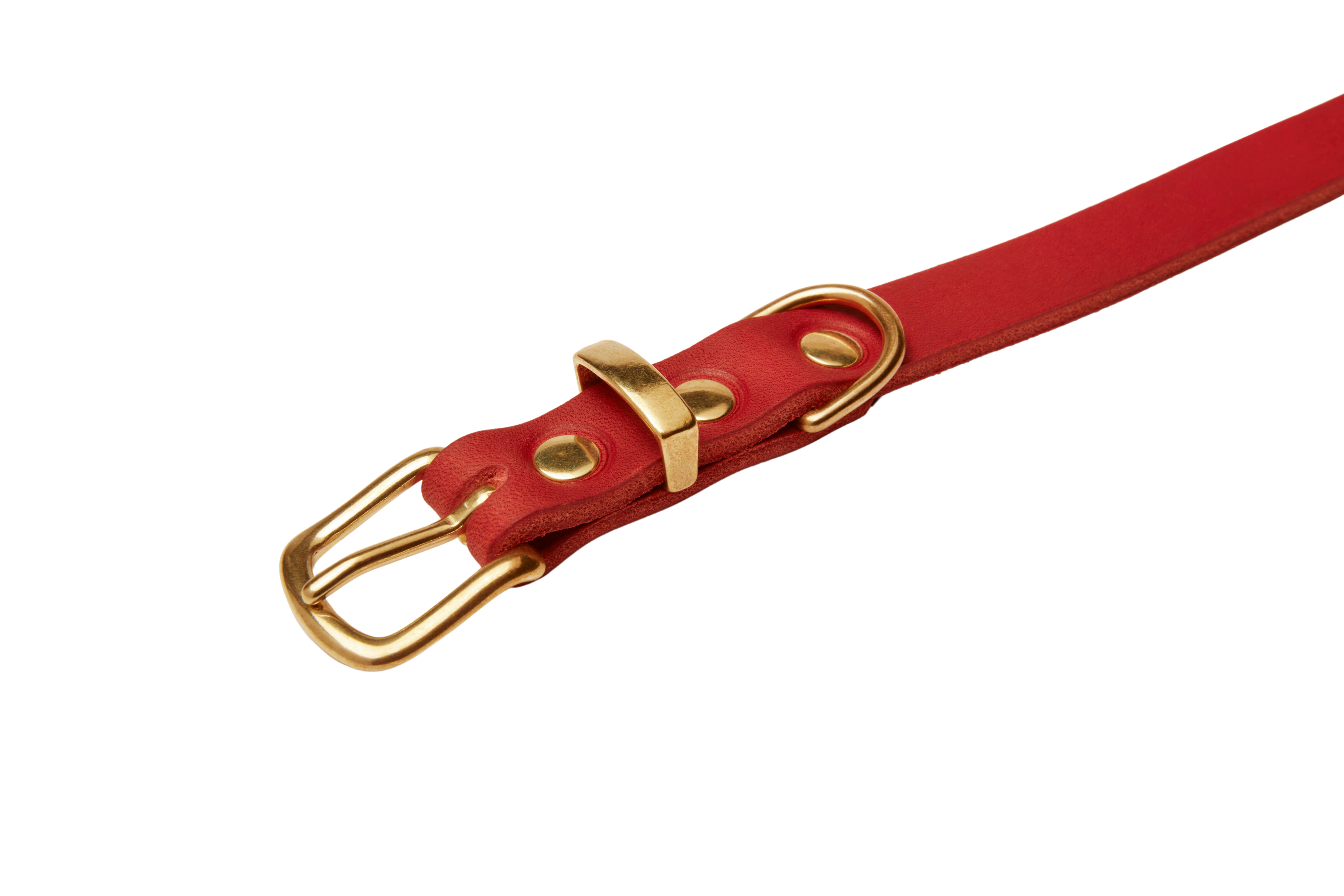 Soft leather dog collar with gleaming brass hardware and a Scandinavian design