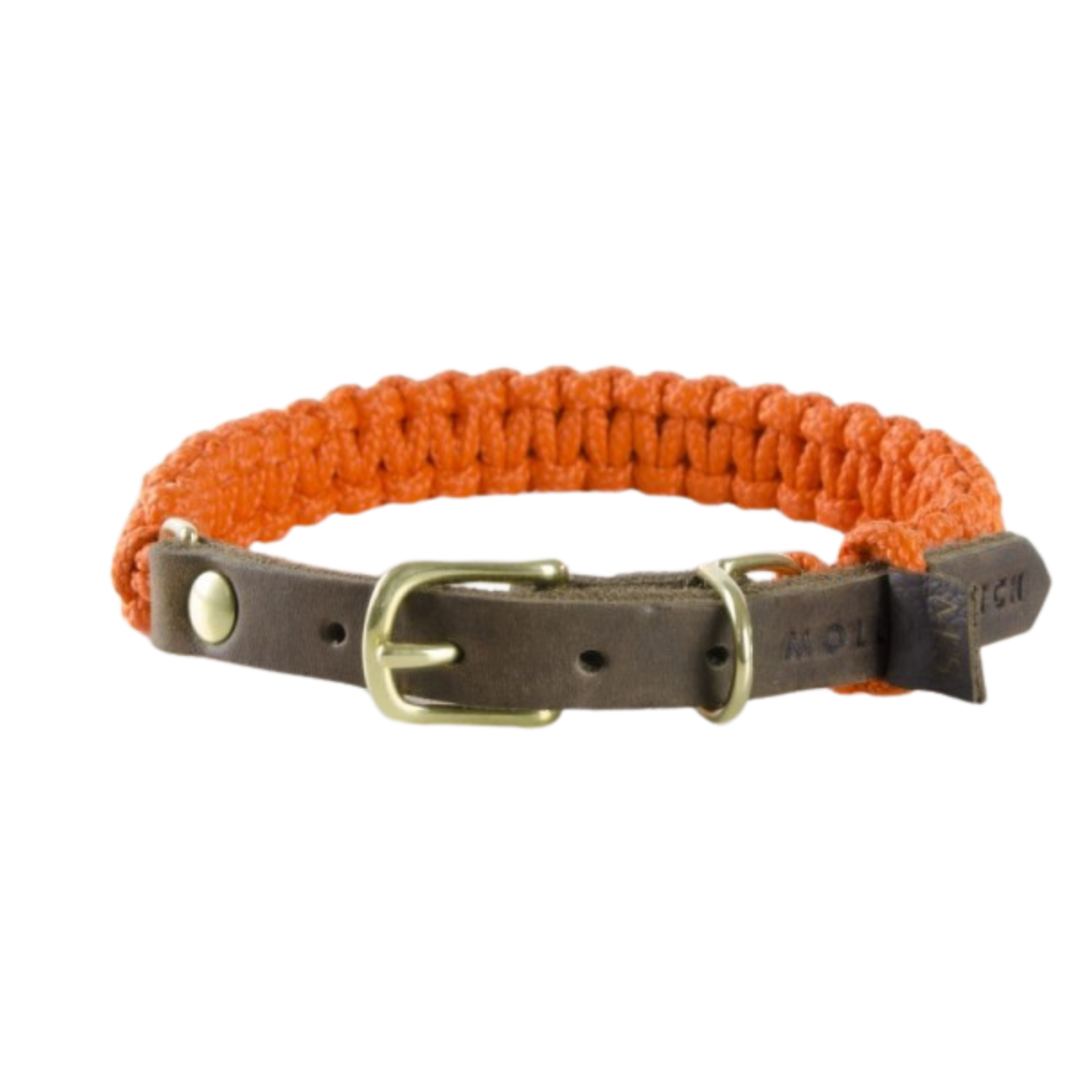 Touch of Leather Dog Collar - Pumpkin
