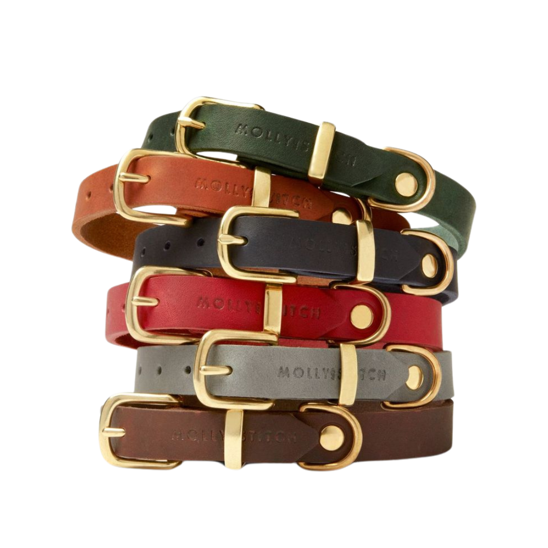 Different colors and collars of of premium Molly and Stitch