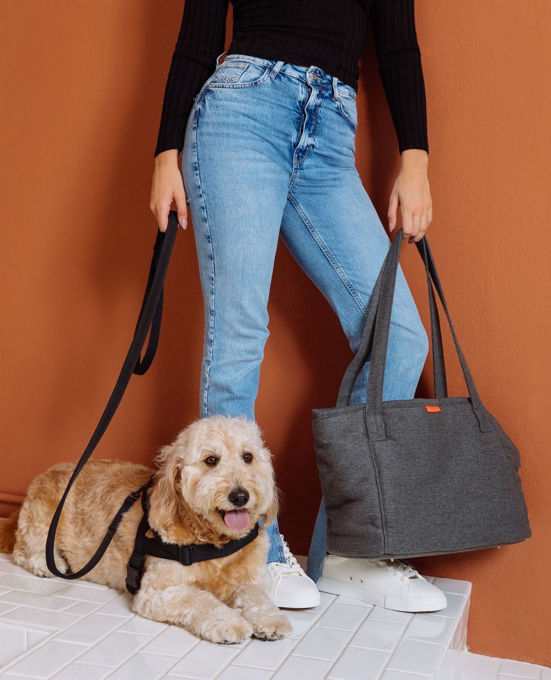 Handcrafted leather leash with braided accents, brass hardware, and a buttery soft handle