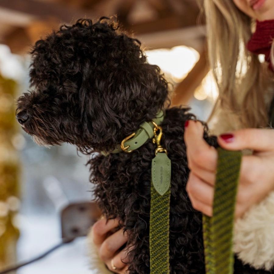 Serrana Dog Collar - Moss