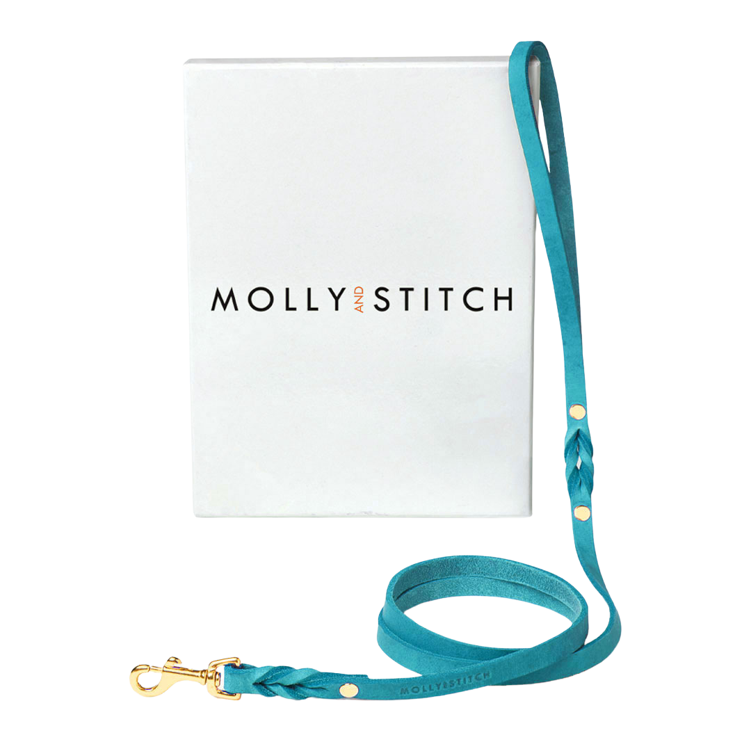 Luxurious leather leash with solid brass clasps, adjustable handle, and hand-braided design