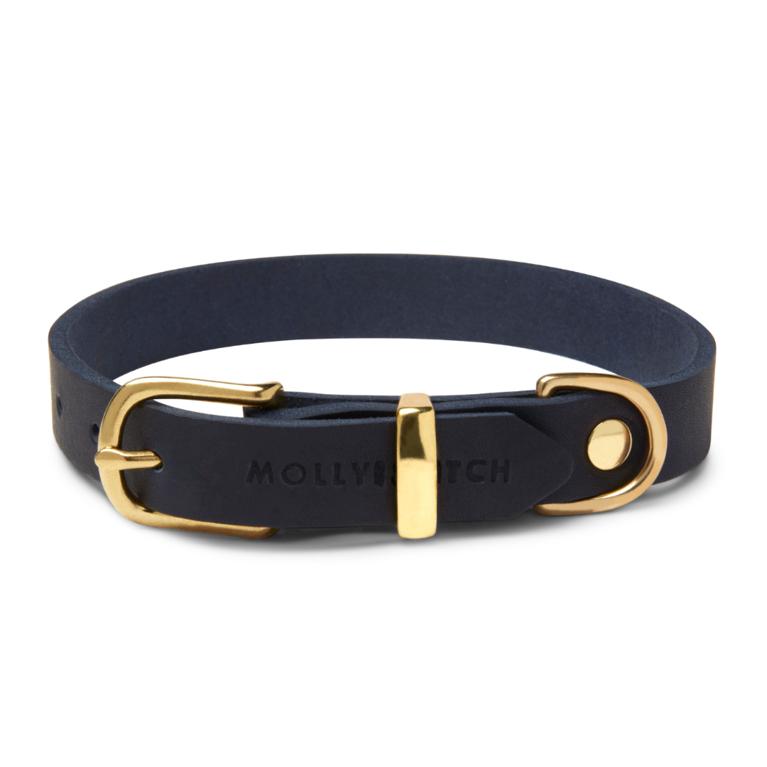 Leather and sales gold dog collar