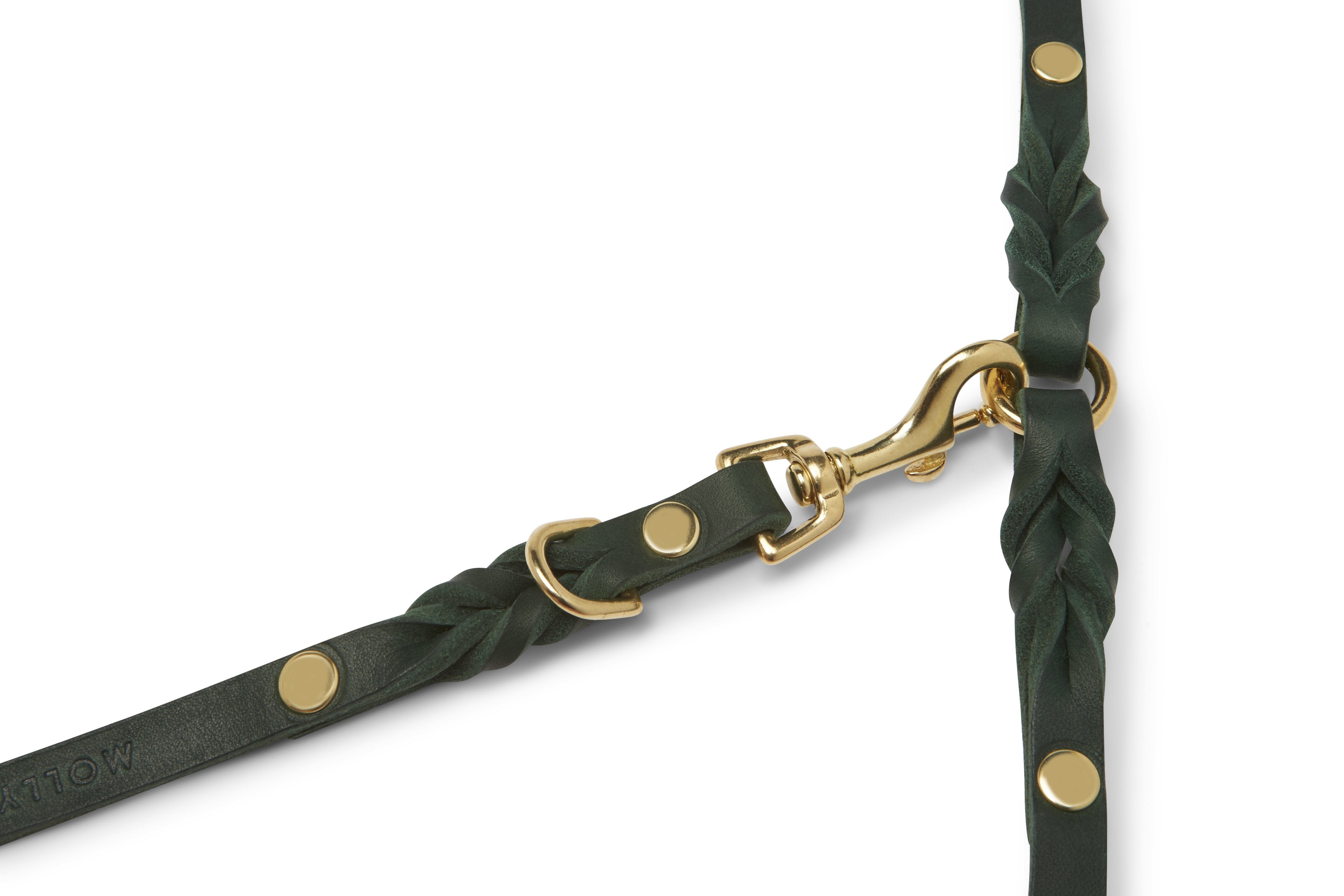 Forest Green leather leash with braided detailing and adjustable length, handmade in Austria.